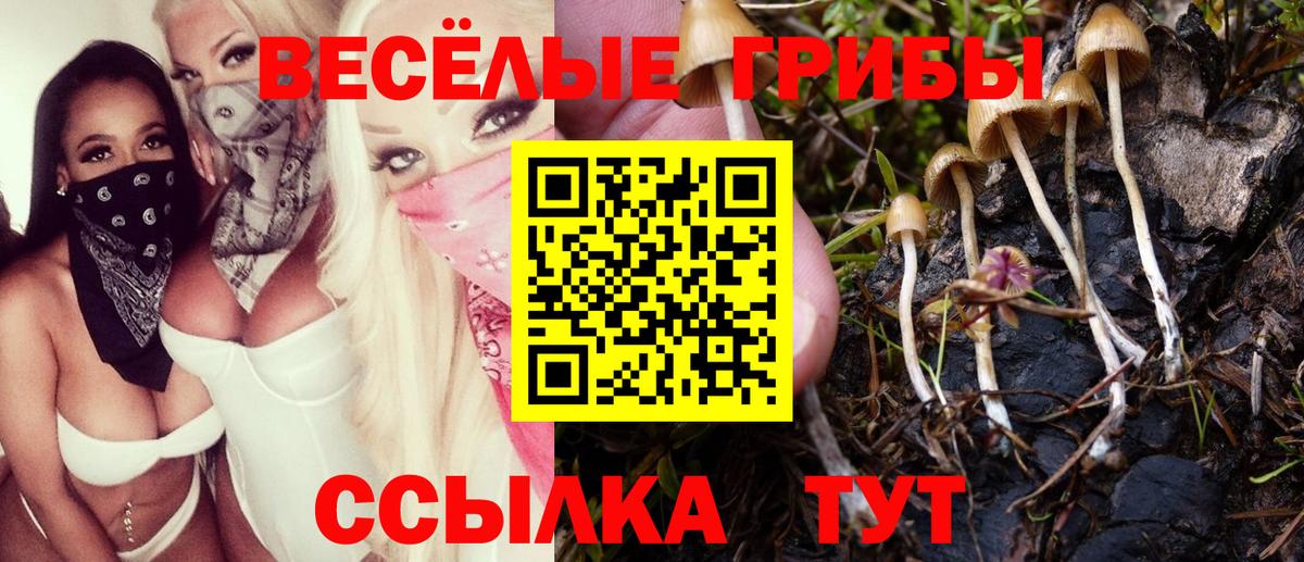 Галлюциногенные грибы ЛСД  Вход с VPN  Галлюциногенные грибы мухоморы  Улан-Удэ 